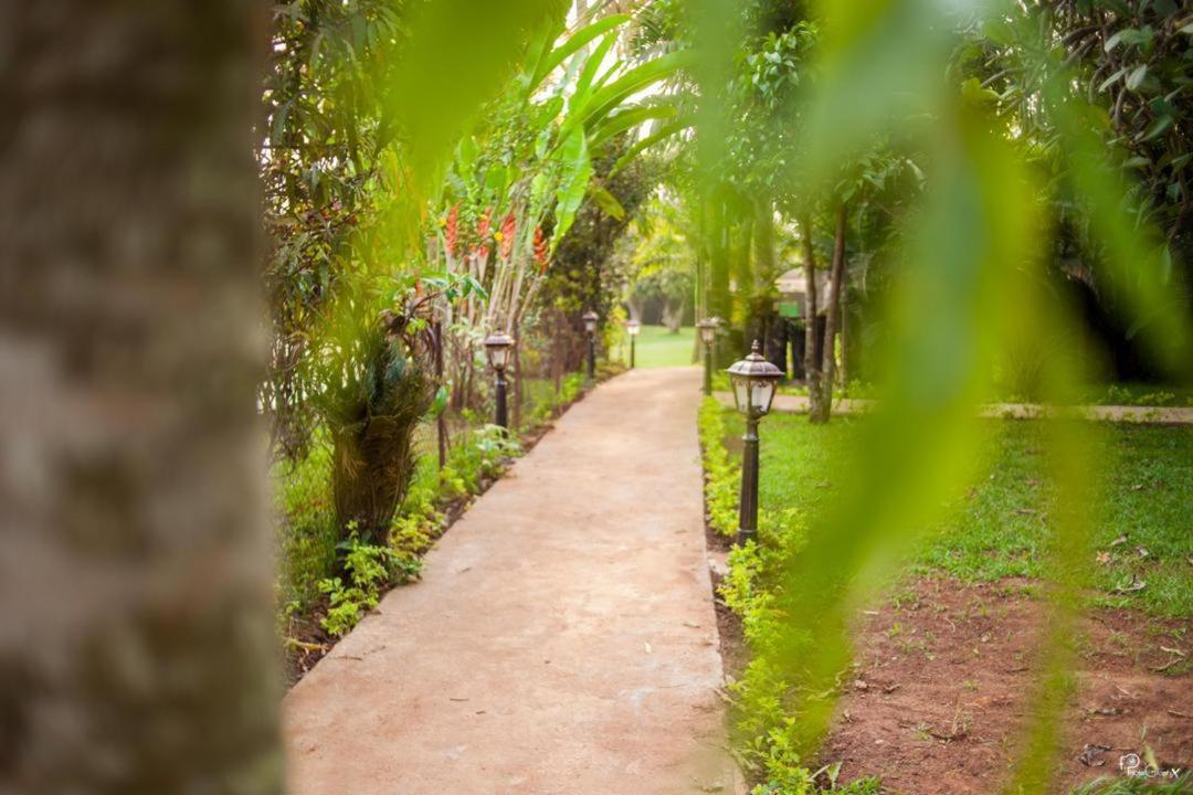 Village Noah Yaoundé Kültér fotó